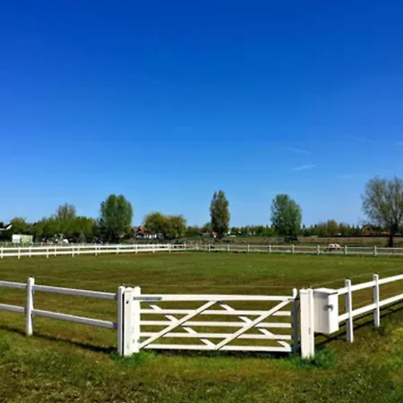 The Winterhorses Loft Lägenhetshotell Strijen